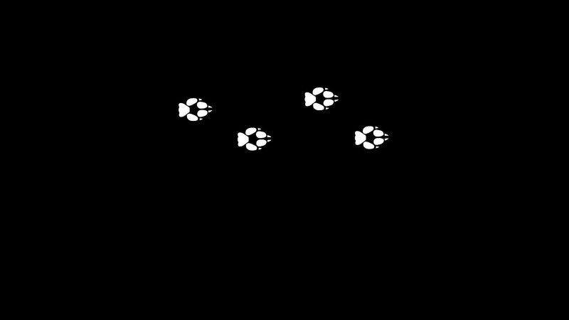 paws, 1080P, fox, The First Tree