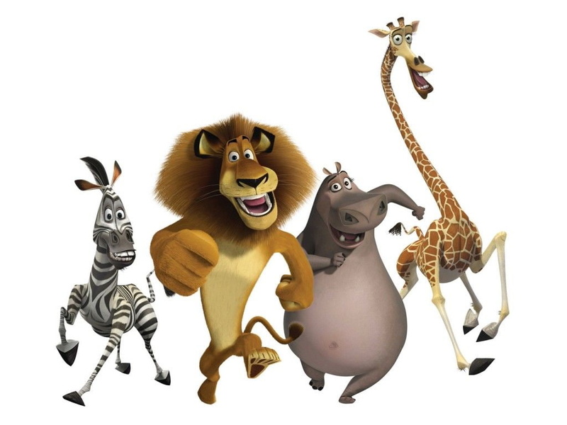 kid, cartoon, movie, madagascar, 480P, entertain