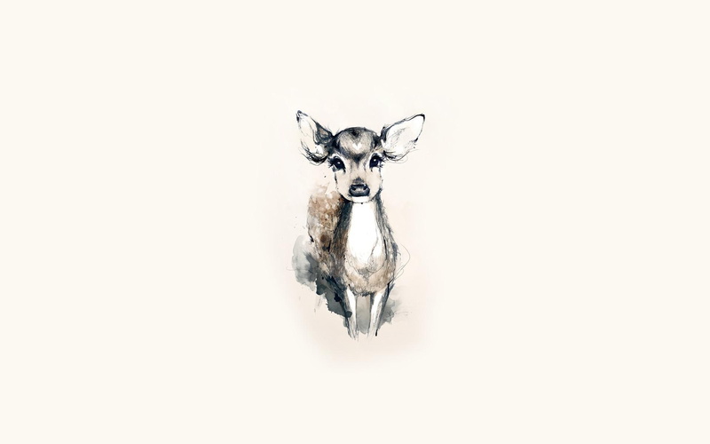 white, deer, fawn, drawing, black, sketch, baby animals, 1080P, pictures, background