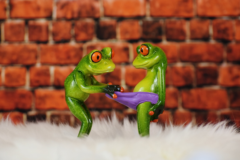 animal themes, figure, figurines, day, brick wall, animal representation, frogs, curious, figurine, fun, brick, green, close-up, figures, childhood, funny