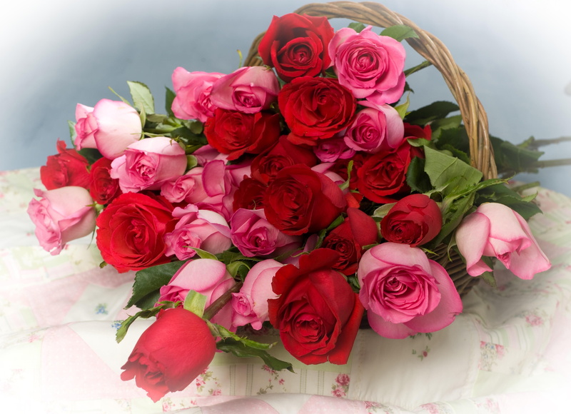 rose - Flower, basket, valentines Day - Holiday, fragility, day, 5K, flower, backgrounds, gift, birthday, table, flowering plant, celebration, rose, flower arrangement