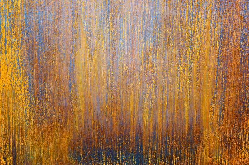 orange color, plant, tree, close-up, steel, pine tree, hardwood, oil spill, forest, no people, rusty, pattern, yellow, day, polka dot, multi colored, bg