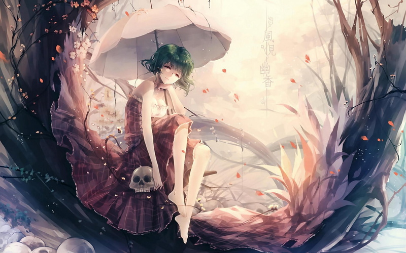 anime girls, Touhou, Kazami Yuuka, umbrella, 1080P