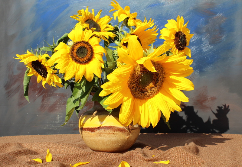 bouquet, flora, day, bloom, petal, summer, growth, still life, outdoors, freshness, fragility, yellow, beauty in nature, inflorescence, flower pot, sunflower
