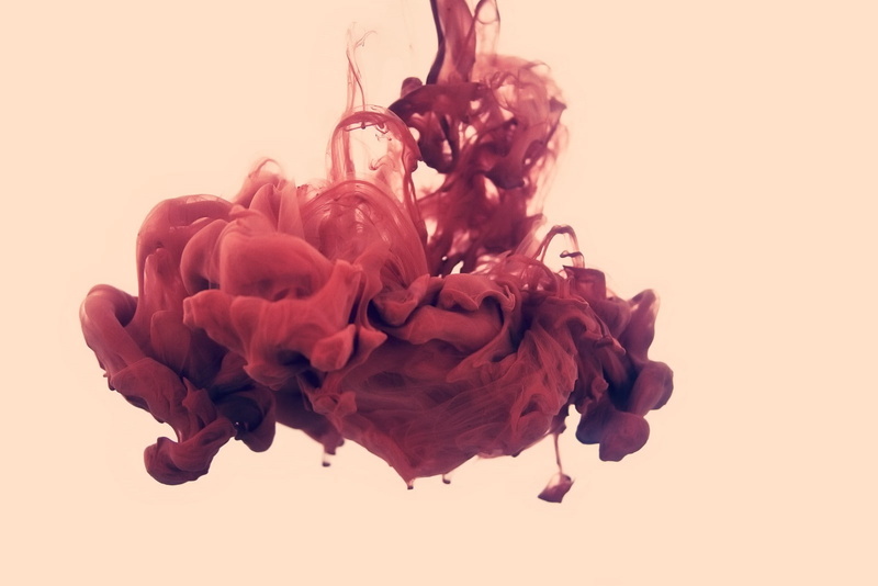 studio shot, motion, indoors, abstract, no people, mixing, water, 720P, petal, changing form, freshness, red, flower, white background alberto seveso
