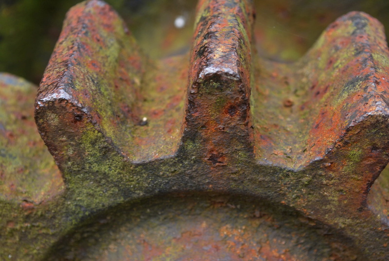 macro, deterioration, nature, metal, 2K, trunk, tree trunk, gear, growth, gears, lichen, close-up, rusty, land, weathered, tree, textured, moss, plant