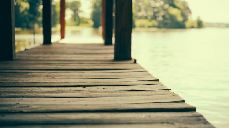 wood - material, wooden surface, pier, outdoors, day, nature, diminishing perspective, tree, focus on foreground, plank, footpath, lake, wood paneling