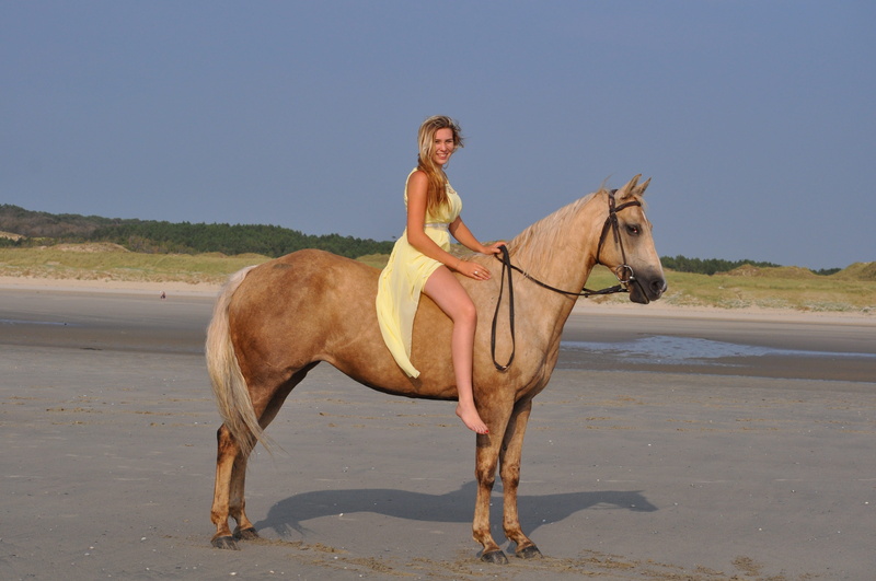 dress, bareback, horseback riding, one person, horse, woman, western, riding, pets, land, domestic animals, quarter horse, day, domestic, real people, horseback