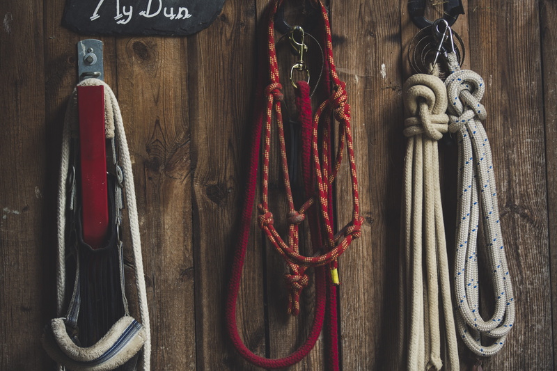 animals, dressage, day, farm, hanging, side by side, jockey, fitness, strength, leather, still life, tied up, horse, choice, dark, horse back, metal, close-up