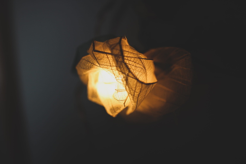 leaves, nature, dark, art, orange, lantern, plant part, paper, eclipse, origami, leaf, indoors, lamp post, lightbulb, plant, flower, close-up, astronomy