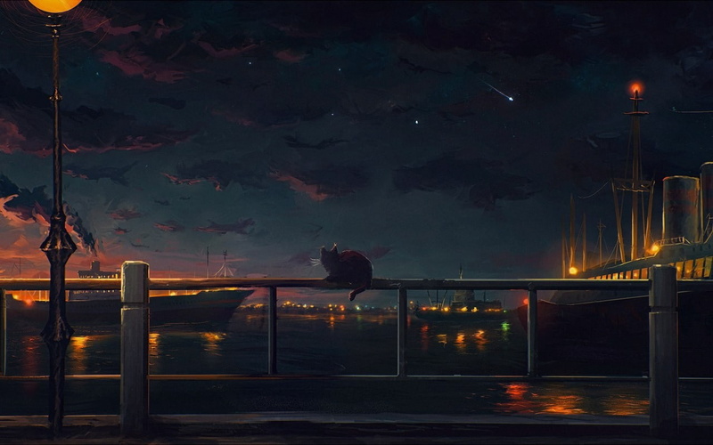 stars, harbor, animals, lantern, artwork, sky, night, cat, 720P