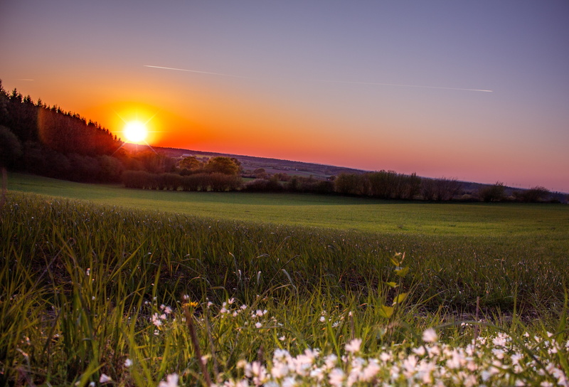 abendstimmung, beauty in nature, grass, plant, idyllic, no people, dusk, environment, sunset, setting sun, outdoors, evening sky, landscape, romantic, blue