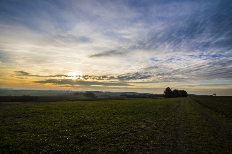 dramatic sky, sunset, grass, sun, embers, evening, idyllic, silhouette, rural scene, winter, beauty in nature, land, horizon, cloud - sky, landscape, field