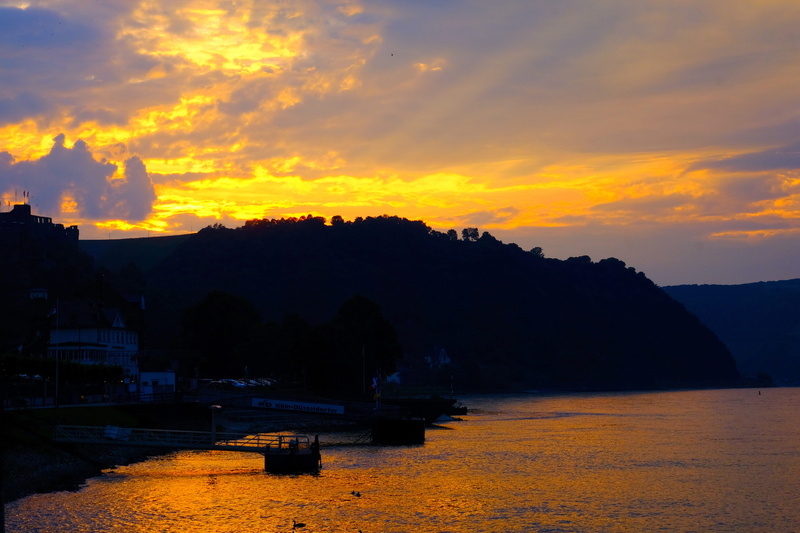 light, dusk, tree, rhine, tranquil Scene, afterglow, nature, flooded, mood, reflection, Silhouette, evening sky, Sunset, beauty In Nature, Sky, abendstimmung
