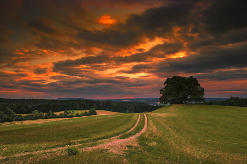cloudy, scenics - nature, sky, outdoors, orange color, dusk, landscape, abendstimmung, of course, tree, summer, grass field, cloud - sky, vehicle, desktop background