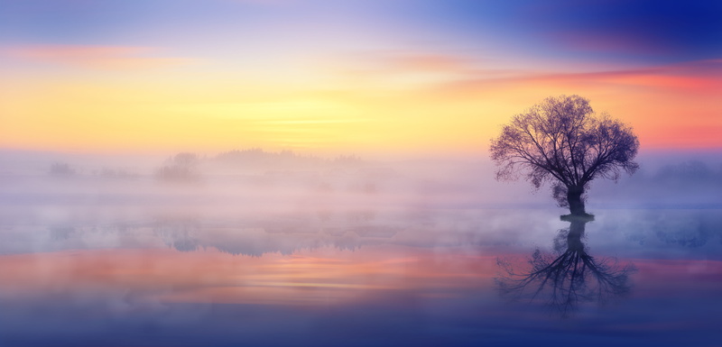 sky, abendstimmung, reflection, romantic, afterglow, bare, farbenspiel, cloud - sky, panorama, color, romance, dawn, non-urban scene, 5K, beauty in nature