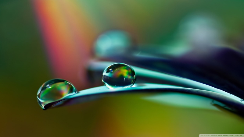 focus on foreground, selective focus, indoors, shiny, day, macro, purity, marbles, close-up, luxury, vulnerability, watermarked, drop, 1080P, reflection