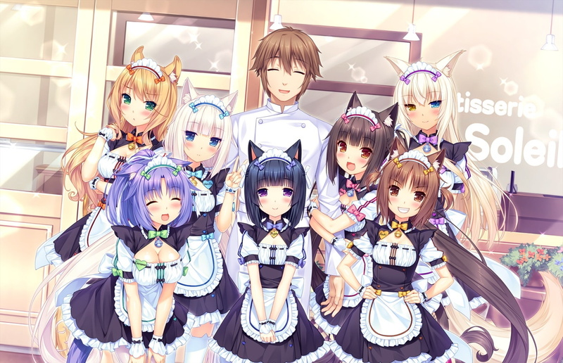 sayori, group, nekopara, animal, waitress, com, 720P, game, kashou, maid, maple, konachan, 244339, male, chocola, azuki, (sayori), tail, ears, catgirl