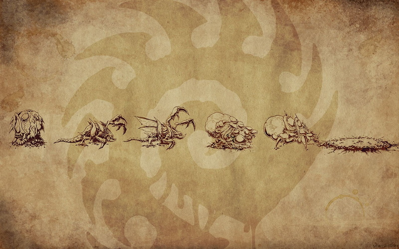 indoors, close-up, pattern, swarm, paper, backgrounds, no people, wall - building feature, StarCraft, mural, old, the past, 720P, communication, textile