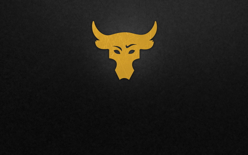 rock, black, Bull, white, bulls, 1080P, cubs