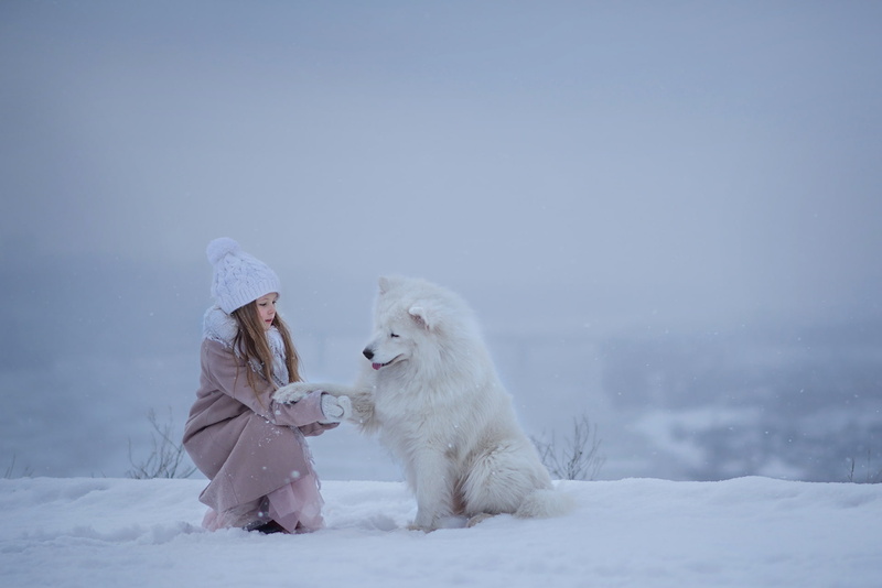 snow, friends, dog, Samoyed, winter, girl, 1080P