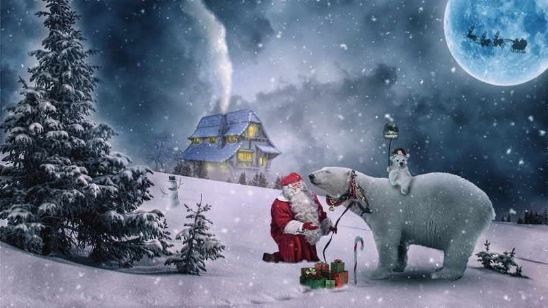 Gift, Winter, 1080P, Santa, Christmas, Holiday, Polar Bear