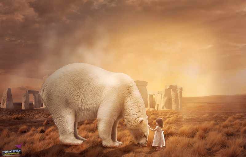 cloud - sky, no people, animal wildlife, sky, animal themes, landscape, fog, photo manipulation, outdoors, land, field, vertebrate, polar bears, domestic animals
