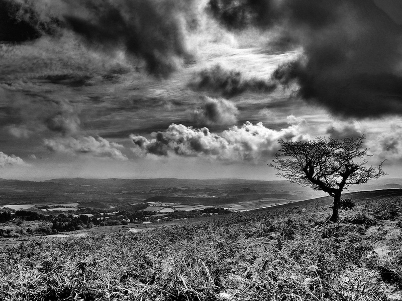 1080P, ominous clouds, white, black and white, black, scape, nature, 3d and abstract