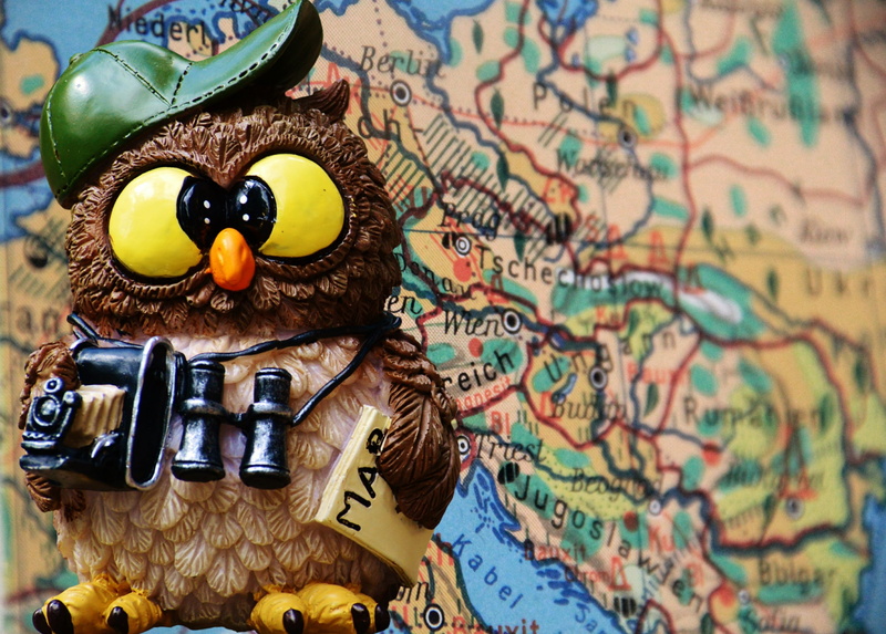 photograph, tourists, guidance, funny, owl, cities, physical geography, exploration, map, tourist attraction, representation, tourism, travel, travel destinations