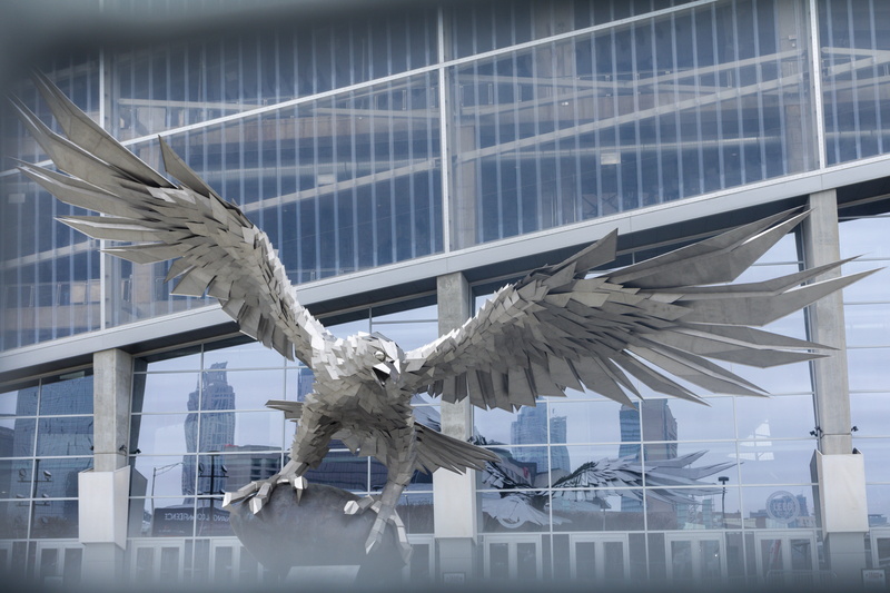 animal wildlife, animals in the wild, downtown, 5K, outdoors, hawk, urban, metropolis, architecture, mid-air, window, animal themes, seagull, animal, vertebrate