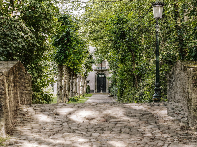 lantern, plant, sunlight, belgium, sunbeam, green, day, stone wall, old, old building, lighting equipment, city, antique, middle ages, bruges, the way forward