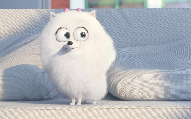 Comedy, animation, drawing, Jenny Slate, The Secret Life of Pets, hair top, white, pad, living room, graphic animation, secret, Movie, big eyes, Dog, leash