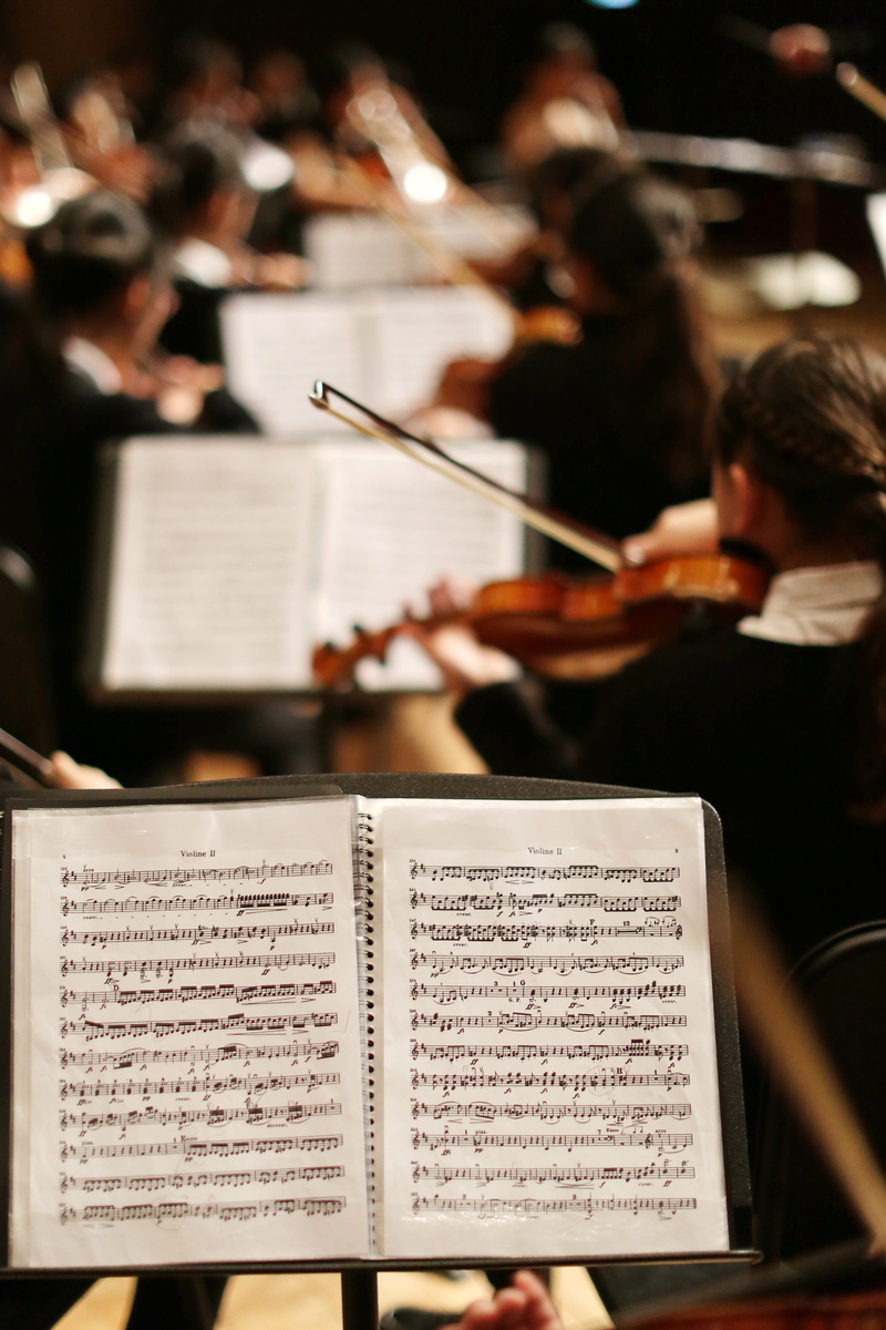 sheet, playing, near, arts culture and entertainment, men, entertainment event, paper, violin, note, song, musical instrument, sheet music, 4K, skill
