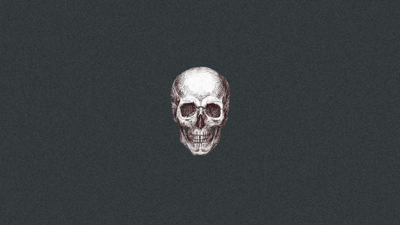 artwork, human skeleton, indoors, human skull, digital composite, bone, human body part, skeleton, body part, black background, 1080P, close-up, still life