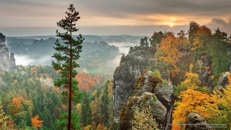 dawn, germany, saxony, 2K, park, Fall, switzerland, national, saxon