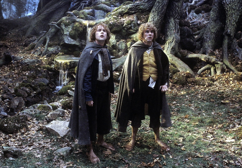 The Lord of the Rings, The Lord of the Rings: The Two Towers, Peregrin Took, Dominic Monaghan, Billy Boyd, Merry Brandybuck, 1080P