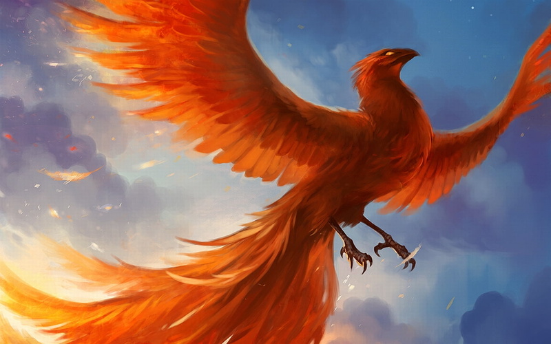 hd, fantasy, red, bird, illustration, phoenix, 720P