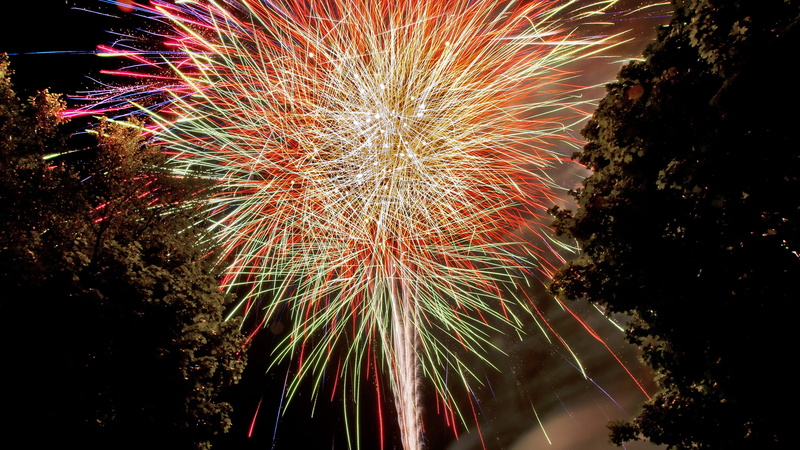 sparks, long exposure, fireworks, light, tree, no people, exploding, night, motion, nighttime, new years eve, display, glowing, sky, firework, event, nature