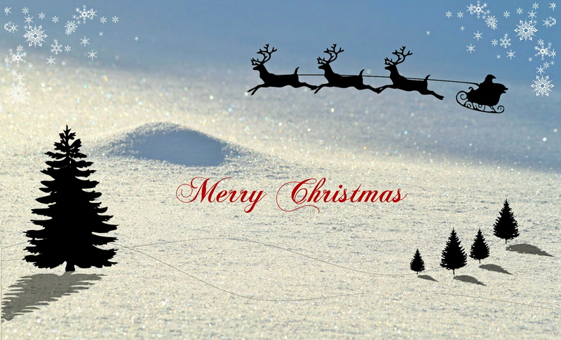 nature, 2K, eiskristalle, powder snow, winter, christmas motif, field, cold, day, plant, snow, greeting card, christmas card, celebration, christmas decoration