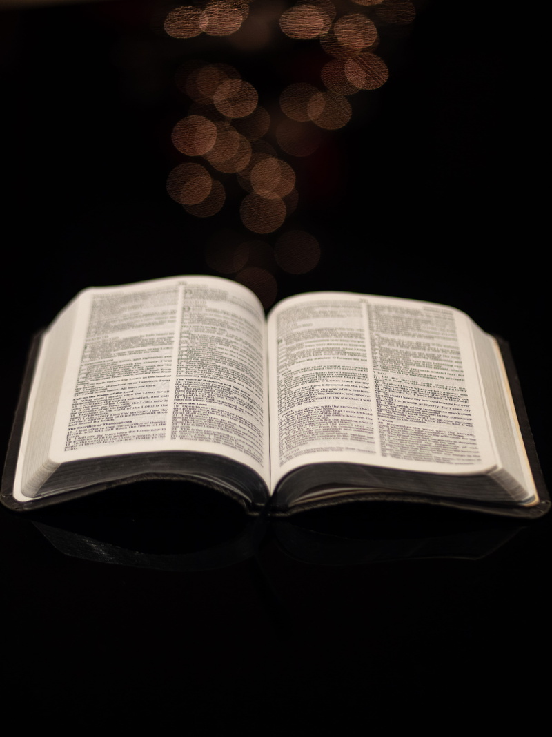 indoors, people, studio shot, flute, novel, flare, bible, 4K, college, page, book, publication, holy, park bench, opened, studying, black background, leisure activities