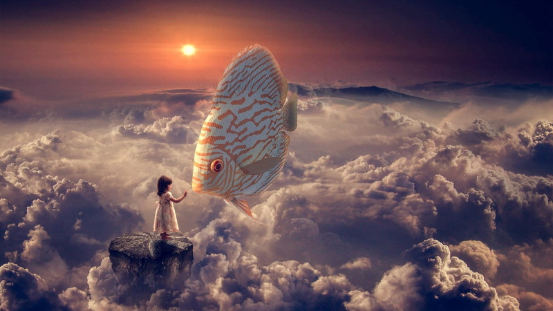 1080P, girl, sky, sun, fantasy, fish, clouds