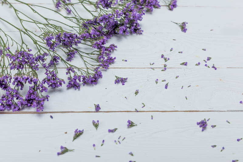 Flowers, Lavender, background, 5K