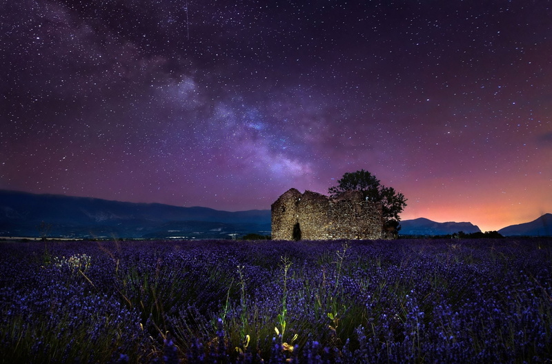 Purple Flower, 1080P, Flowers, Starry Sky, Field, Lavender, Night, Sky, Ruin, Flower