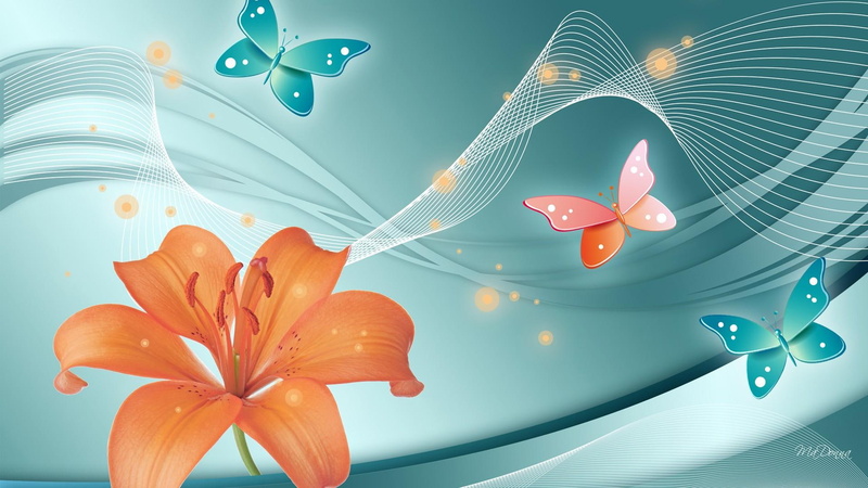fall, silk, lily, papillon, swirls, summer, smoke, spring, turquious, flower, butterflies, 1080P, fleurs, cyan, nature and