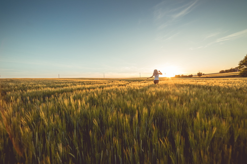 tranquility, sunlight, Sunset, top, girl, woman, harvesting, yellow, landscaped, young, Running, cloudless, field, growth, run, alone, plant, tranquil scene