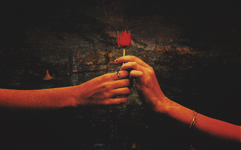 holding, close-up, body part, limb, lifestyles, glass, human body part, human hand, finger, personal perspective, red, nature, hand, Love, human finger