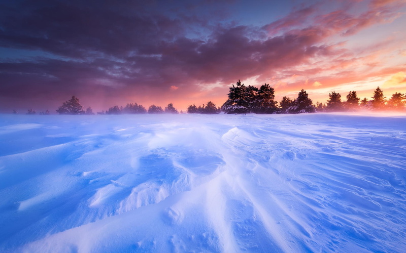 1080P, Snow, France, Plains, Provence, Sunset, Trees, Winter