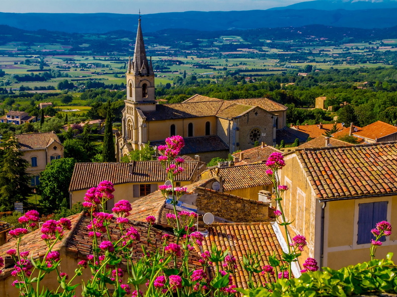 Pink, 1080P, Flowers, Bonnieux, France, Houses