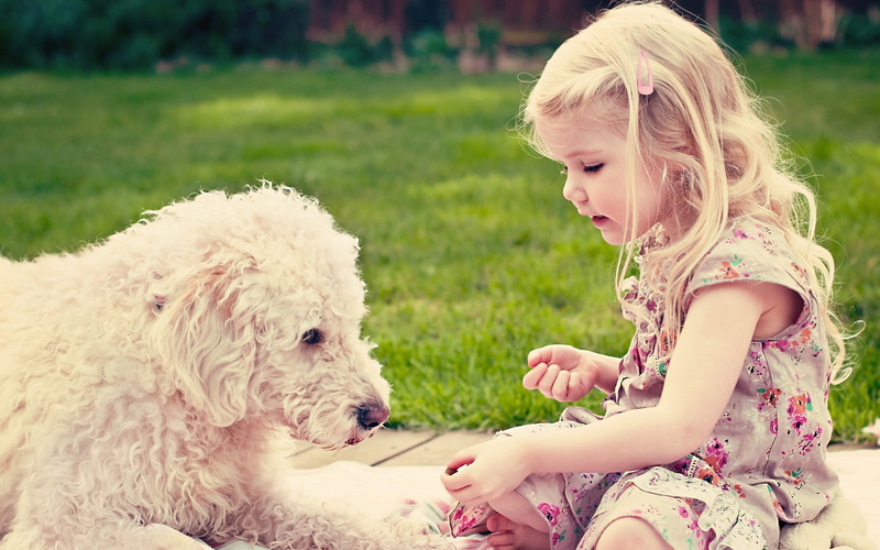 children, 2K, blonde, outdoors, little girl