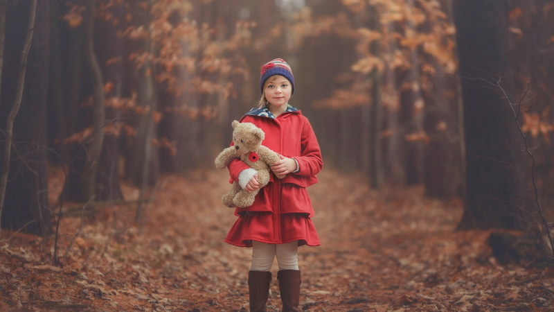 teddy bears, tree, togetherness, warm clothing, leisure activity, red, domestic animals, front view, fall, woolly hat, 1080P, day, real people, clothing